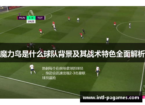 魔力鸟是什么球队背景及其战术特色全面解析